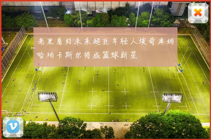 老里看好未来超巨年轻人埃奇库姆哈珀卡斯尔将成篮球新星